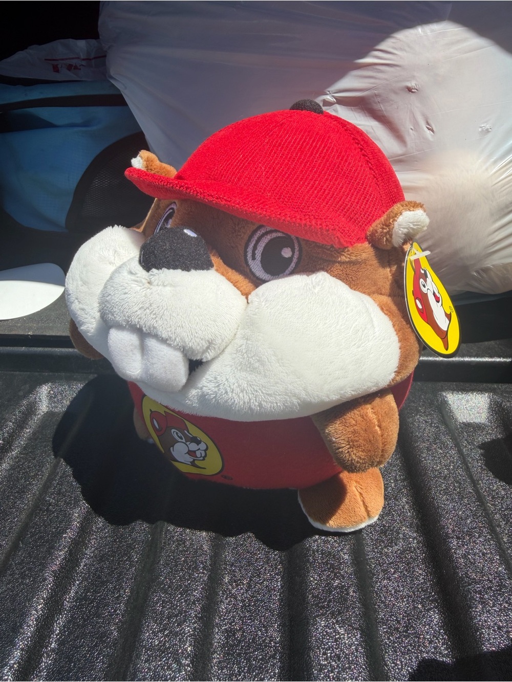 Plush Buccees Beaver Toy Plush